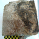 clay tablet the Odyssey